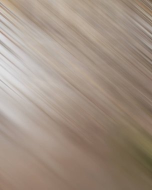 Renklerin soyut hareket bulanık arkaplanı