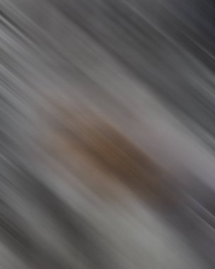 Renklerin soyut hareket bulanık arkaplanı