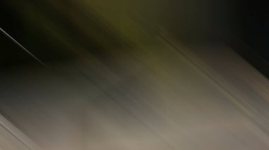 Renklerin soyut hareket bulanık arkaplanı