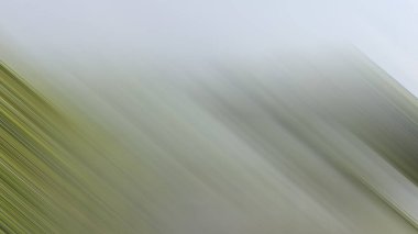 Renklerin soyut hareket bulanık arkaplanı