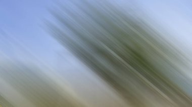 Renklerin soyut hareket bulanık arkaplanı