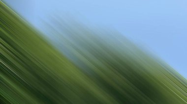 Renklerin soyut hareket bulanık arkaplanı