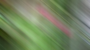 Renklerin soyut hareket bulanık arkaplanı