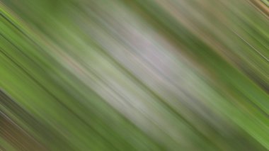 Renklerin soyut hareket bulanık arkaplanı