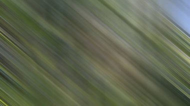 Renklerin soyut hareket bulanık arkaplanı