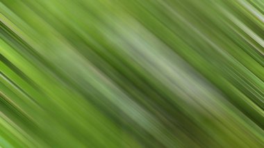 Renklerin soyut hareket bulanık arkaplanı