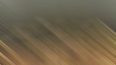 Renklerin soyut hareket bulanık arkaplanı