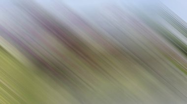 Renklerin soyut hareket bulanık arkaplanı