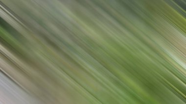 Renklerin soyut hareket bulanık arkaplanı