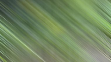 Renklerin soyut hareket bulanık arkaplanı