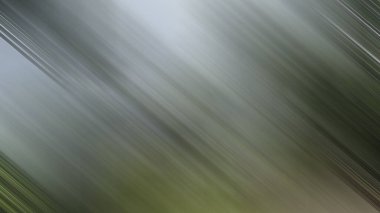 Renklerin soyut hareket bulanık arkaplanı