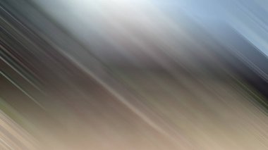 Renklerin soyut hareket bulanık arkaplanı