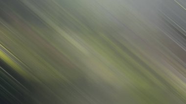 Renklerin soyut hareket bulanık arkaplanı