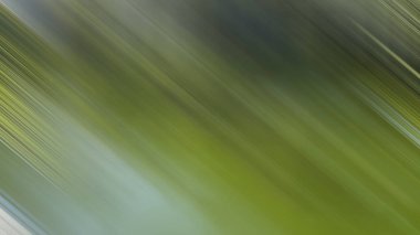 Renklerin soyut hareket bulanık arkaplanı