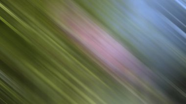 Renklerin soyut hareket bulanık arkaplanı