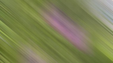 Renklerin soyut hareket bulanık arkaplanı