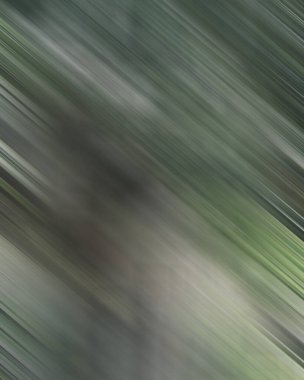 Renklerin soyut hareket bulanık arkaplanı