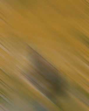 Renklerin soyut hareket bulanık arkaplanı