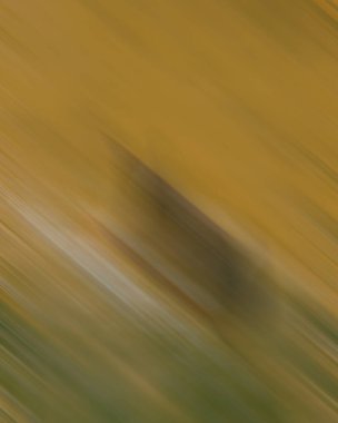 Renklerin soyut hareket bulanık arkaplanı