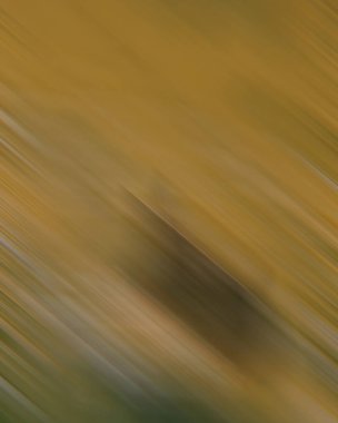 Renklerin soyut hareket bulanık arkaplanı