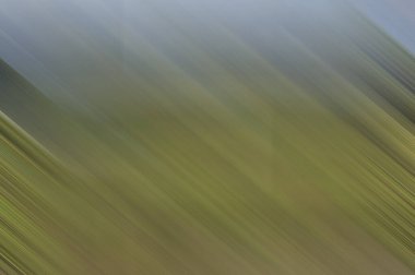 Renklerin soyut hareket bulanık arkaplanı