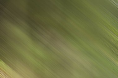 Renklerin soyut hareket bulanık arkaplanı