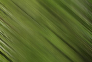 Renklerin soyut hareket bulanık arkaplanı