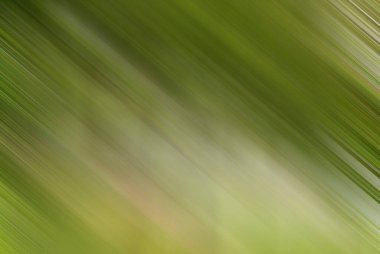 Renklerin soyut hareket bulanık arkaplanı