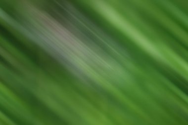 Renklerin soyut hareket bulanık arkaplanı