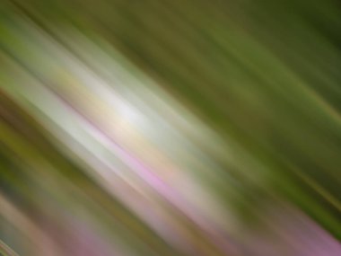 Renklerin soyut hareket bulanık arkaplanı