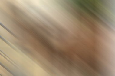 Renklerin soyut hareket bulanık arkaplanı