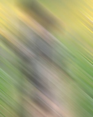 Renklerin soyut hareket bulanık arkaplanı