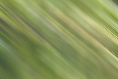 Renklerin soyut hareket bulanık arkaplanı