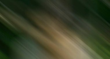 Renklerin soyut hareket bulanık arkaplanı