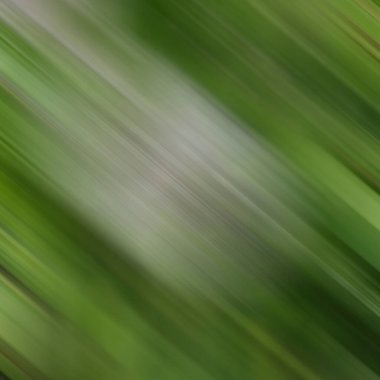 Renklerin soyut hareket bulanık arkaplanı