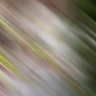 Renklerin soyut hareket bulanık arkaplanı