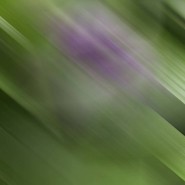 Renklerin soyut hareket bulanık arkaplanı