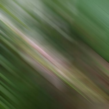 Renklerin soyut hareket bulanık arkaplanı