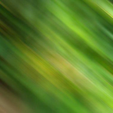 Renklerin soyut hareket bulanık arkaplanı