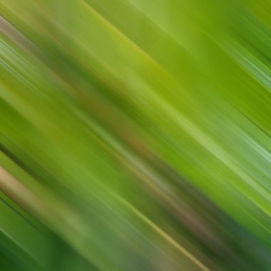 Renklerin soyut hareket bulanık arkaplanı