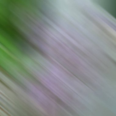 Renklerin soyut hareket bulanık arkaplanı