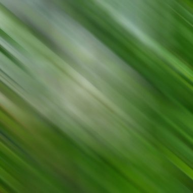 Renklerin soyut hareket bulanık arkaplanı