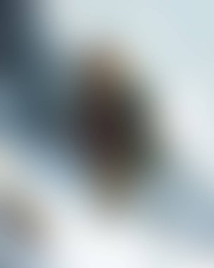 Renklerin soyut bulanık arkaplanı