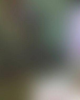 Renklerin soyut bulanık arkaplanı