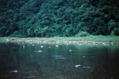 Dağlarda nehri olan güzel bir manzara.