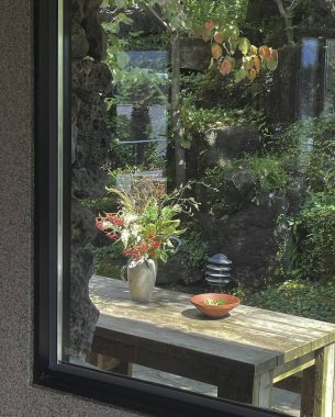 Güzel botanik fotoğrafı, doğal duvar kağıdı.