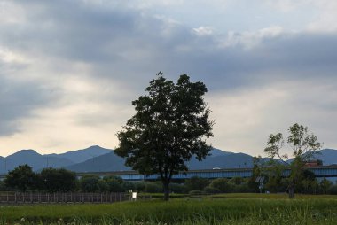 Şehrin güzel manzarası