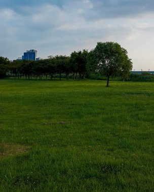 Şehrin güzel manzarası