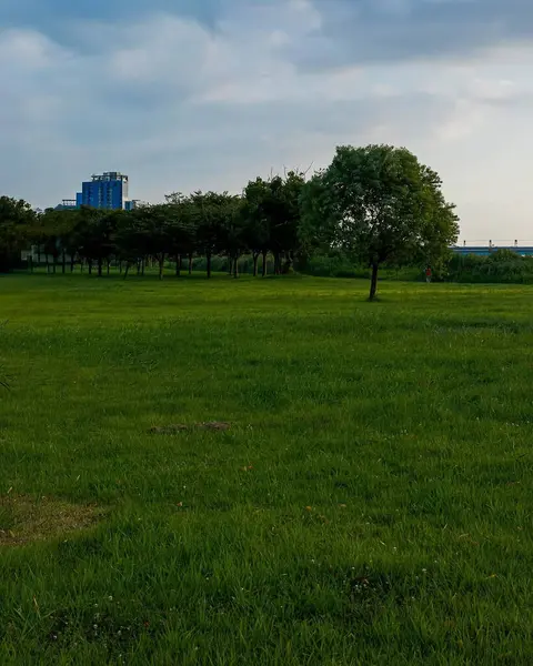 Şehrin güzel manzarası