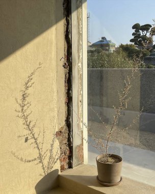 bir bardak su ile pencere